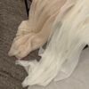 S__63332610_0 柔霧輕紗羊絨圍巾